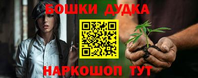 индика Берёзовский